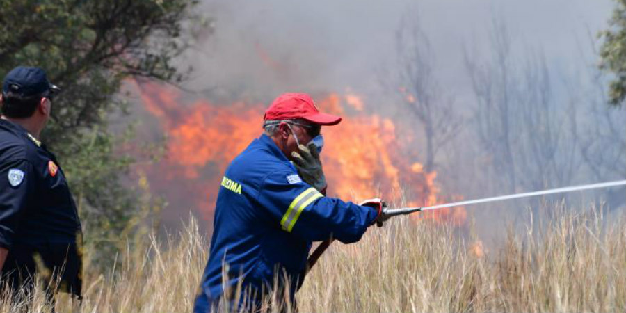 Υπό πλήρη έλεγχο δασική πυρκαγιά στο Κρατικό Δάσος Αδελφοί